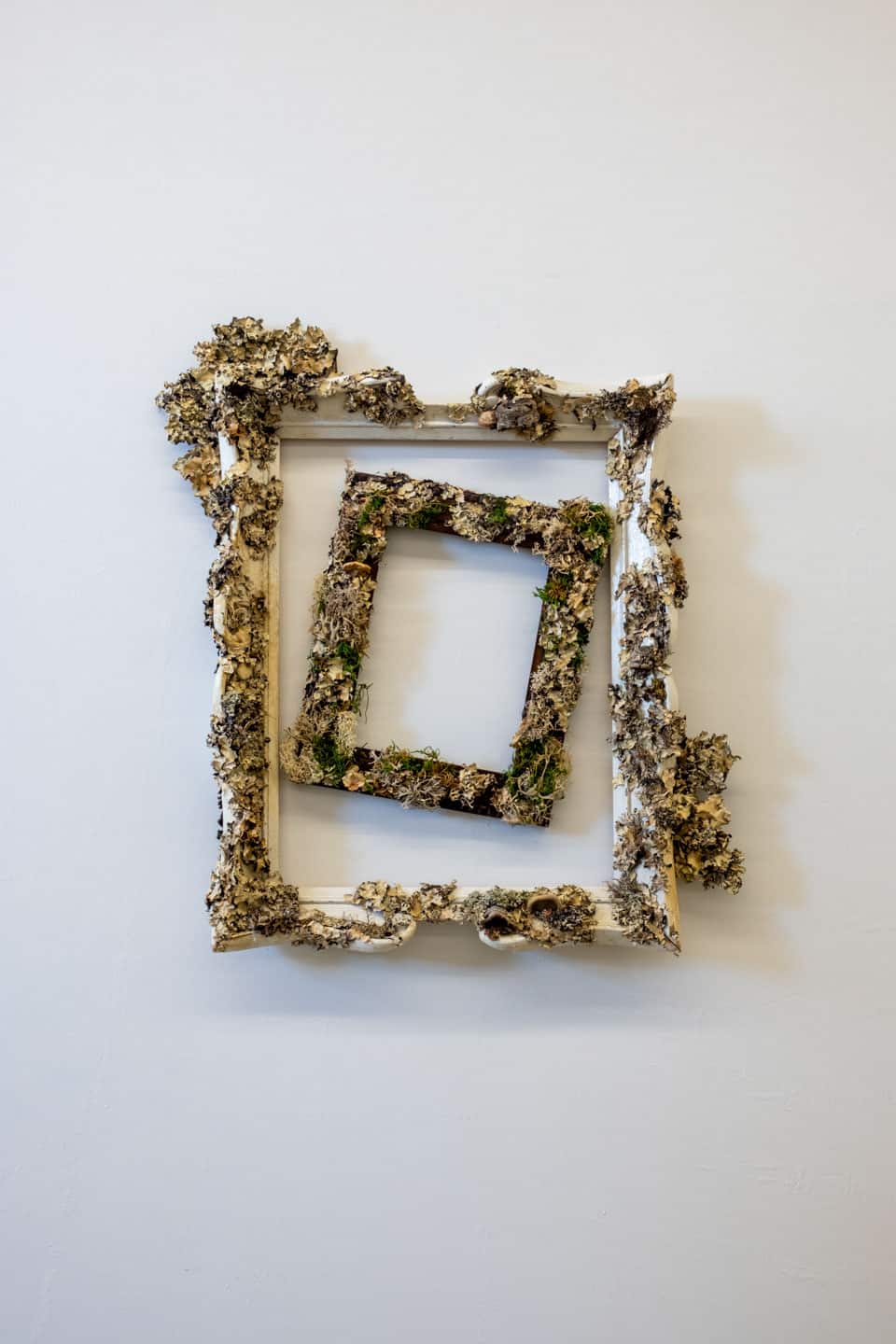 Peculiar Movements/Green Junctions at NAMARA projects